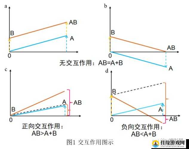 B 与 B 的不同之处：探究两者差异及背后原因分析